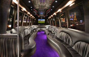 Party Bus, Party Buses, Party Bus Rental, Limo Houston Service